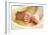 Baby's Feet-Ruth Jenkinson-Framed Photographic Print