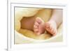 Baby's Feet-Ruth Jenkinson-Framed Photographic Print