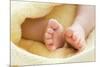 Baby's Feet-Ruth Jenkinson-Mounted Photographic Print