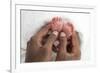 Baby's Feet-Ruth Jenkinson-Framed Photographic Print