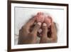 Baby's Feet-Ruth Jenkinson-Framed Photographic Print