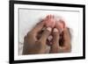 Baby's Feet-Ruth Jenkinson-Framed Photographic Print