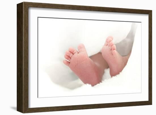 Baby's Feet-Ruth Jenkinson-Framed Photographic Print