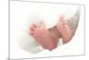 Baby's Feet-Ruth Jenkinson-Mounted Photographic Print