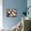 Baby Shoes-.AGA.-Stretched Canvas displayed on a wall