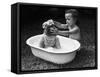 Baby Siblings Taking a Bath-Bettmann-Framed Stretched Canvas
