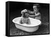 Baby Siblings Taking a Bath-Bettmann-Framed Stretched Canvas