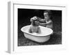 Baby Siblings Taking a Bath-Bettmann-Framed Premium Photographic Print