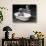 Baby Siblings Taking a Bath-Bettmann-Photographic Print displayed on a wall