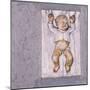 Baby Sleeping 2, 2007-Evelyn Williams-Mounted Giclee Print