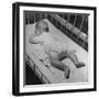 Baby Sleeping on its Stomach in Nursery at St. Vincent's Hospital-Nina Leen-Framed Photographic Print