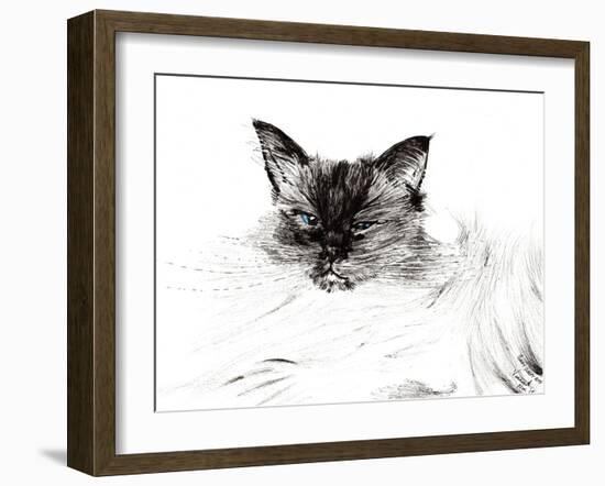 Baby Sleepy Eye, 2015-Vincent Alexander Booth-Framed Giclee Print