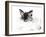 Baby Sleepy Eye, 2015-Vincent Alexander Booth-Framed Giclee Print