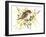 Baby Sparrow-Suren Nersisyan-Framed Art Print