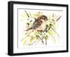 Baby Sparrow-Suren Nersisyan-Framed Art Print