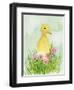 Baby Spring Animals III-Alicia Ludwig-Framed Art Print