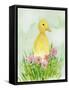 Baby Spring Animals III-Alicia Ludwig-Framed Stretched Canvas