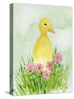 Baby Spring Animals III-Alicia Ludwig-Stretched Canvas