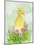 Baby Spring Animals III-Alicia Ludwig-Mounted Art Print