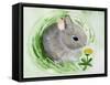 Baby Spring Animals VI-Alicia Ludwig-Framed Stretched Canvas