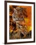 Baby Steps-Gordon Semmens-Framed Premium Giclee Print