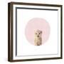 Baby Tiger Pink-Leah Straatsma-Framed Art Print