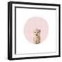 Baby Tiger Pink-Leah Straatsma-Framed Art Print