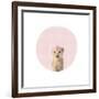 Baby Tiger Pink-Leah Straatsma-Framed Art Print