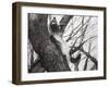 Baby Up the Apple Tree, 2006-Vincent Alexander Booth-Framed Giclee Print