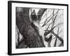 Baby Up the Apple Tree, 2006-Vincent Alexander Booth-Framed Giclee Print