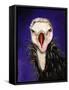 Baby Vulture-Leah Saulnier-Framed Stretched Canvas