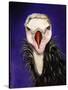 Baby Vulture-Leah Saulnier-Stretched Canvas