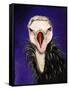 Baby Vulture-Leah Saulnier-Framed Stretched Canvas