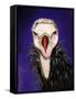 Baby Vulture-Leah Saulnier-Framed Stretched Canvas
