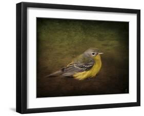 Baby Warbler-Jai Johnson-Framed Giclee Print