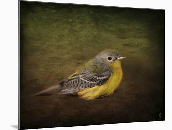 Baby Warbler-Jai Johnson-Mounted Giclee Print