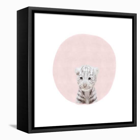 Baby White Tiger Pink-Leah Straatsma-Framed Stretched Canvas