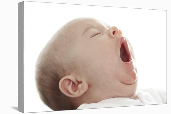 Baby Yawning-Ruth Jenkinson-Stretched Canvas