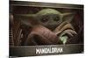 Baby Yoda - The Mandalorian - Grogu (Close up)-null-Mounted Poster
