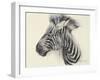 Baby Zebra, 2000-Odile Kidd-Framed Giclee Print