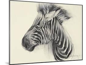 Baby Zebra, 2000-Odile Kidd-Mounted Giclee Print