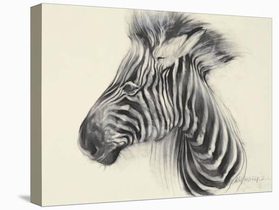Baby Zebra, 2000-Odile Kidd-Stretched Canvas