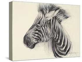 Baby Zebra, 2000-Odile Kidd-Stretched Canvas