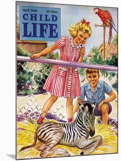 Baby Zebra - Child Life, May 1946-Katherine Wireman-Mounted Giclee Print