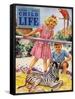 Baby Zebra - Child Life, May 1946-Katherine Wireman-Framed Stretched Canvas