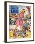 Baby Zebra - Child Life, May 1946-Katherine Wireman-Framed Giclee Print