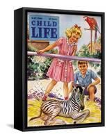 Baby Zebra - Child Life, May 1946-Katherine Wireman-Framed Stretched Canvas