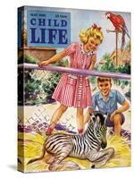 Baby Zebra - Child Life, May 1946-Katherine Wireman-Stretched Canvas