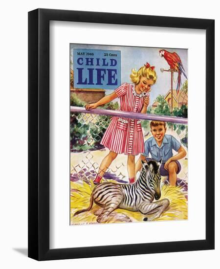 Baby Zebra - Child Life, May 1946-Katherine Wireman-Framed Premium Giclee Print