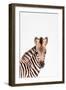 Baby Zebra-Tai Prints-Framed Art Print